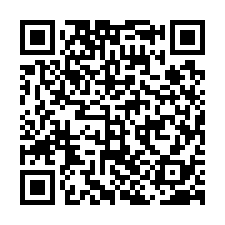 QR code for EIE738