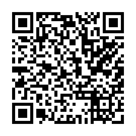 QR code for ELE229