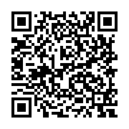 QR code for EUI991