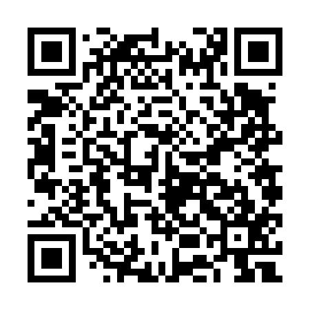 QR code for FEF417