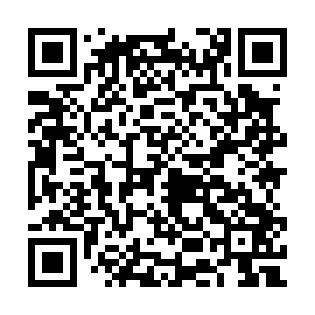 QR code for FEI043