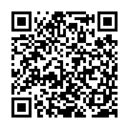 QR code for FEI641