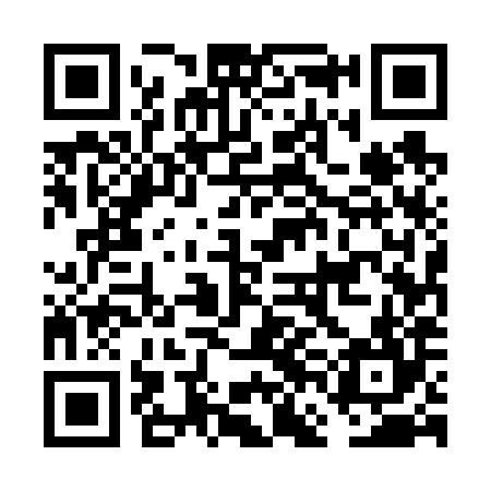 QR code for FFE684