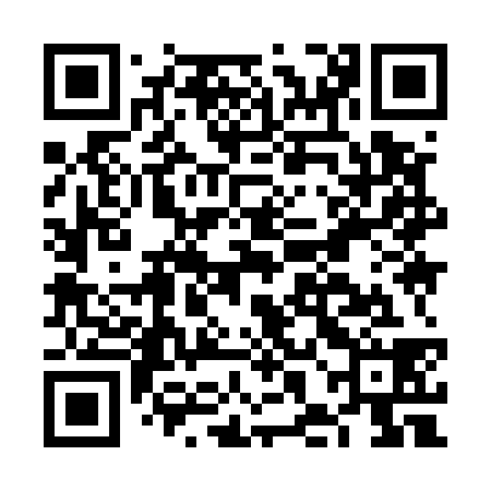 QR code for FHI538