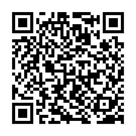 QR code for FIG329