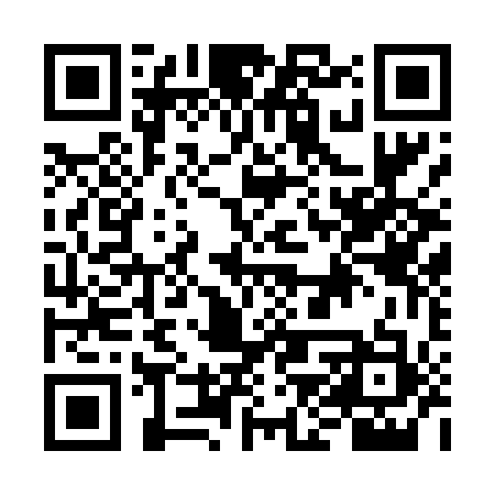 QR code for FJS413