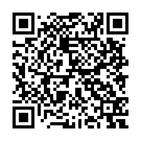 QR code for FJX533