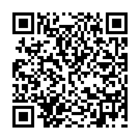 QR code for FLU313
