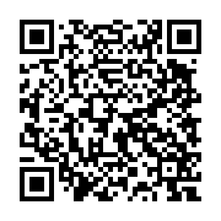 QR code for FPT466