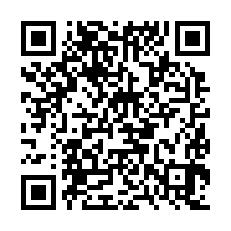 QR code for FPV383