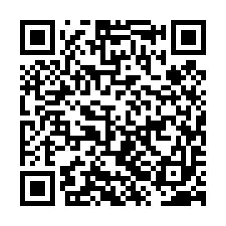 QR code for FRE493