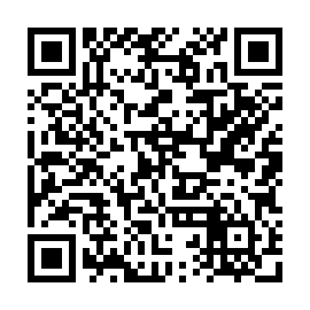 QR code for FRO384