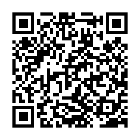 QR code for FZD419