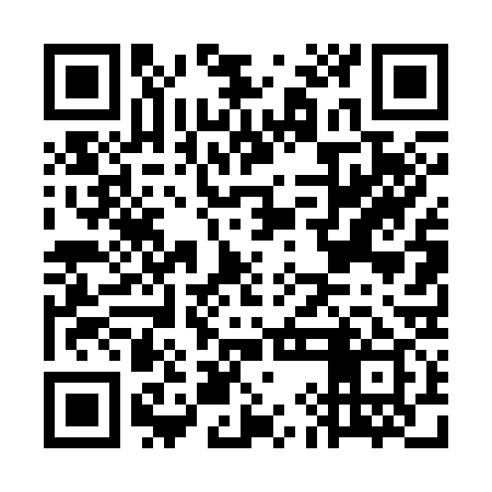 QR code for GID339