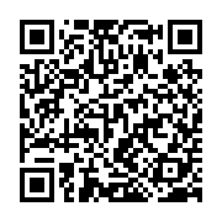 QR code for GIS208