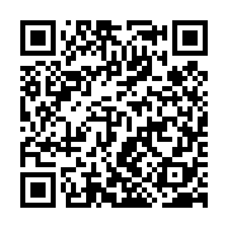 QR code for GIS478