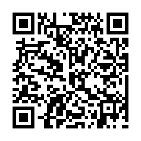 QR code for GOR383