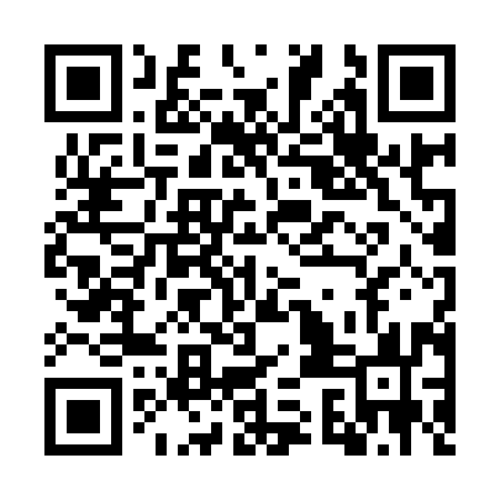 QR code for GSN993