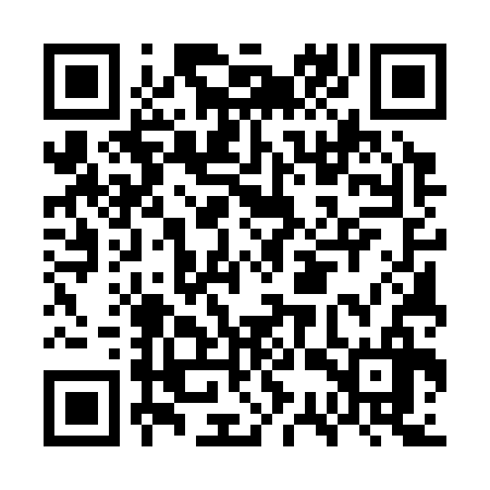 QR code for GSU336
