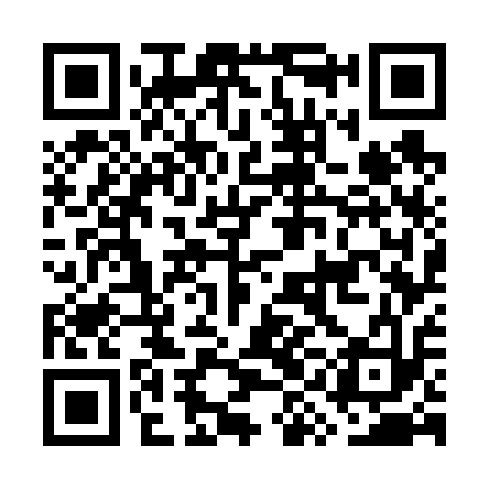QR code for GYG613