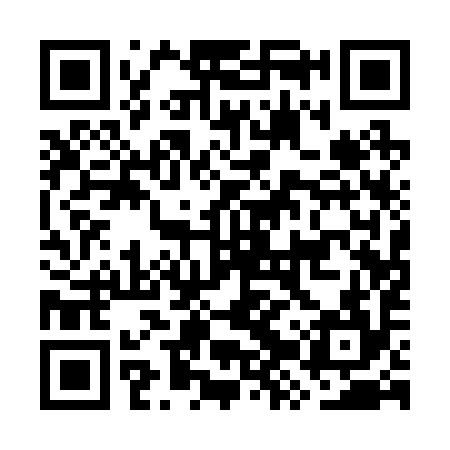 QR code for GZQ294