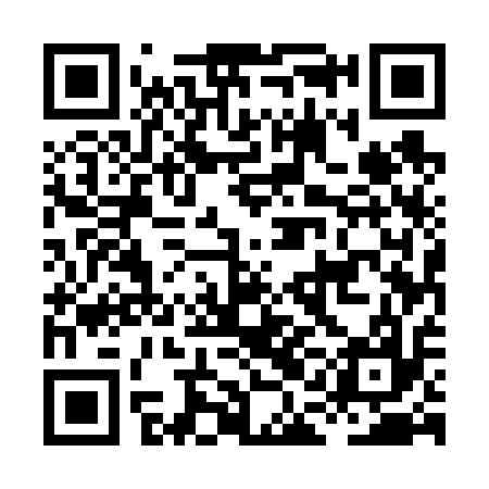 QR code for HAE617