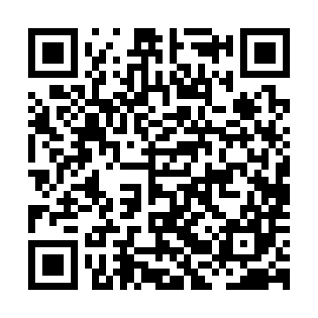QR code for HBP387