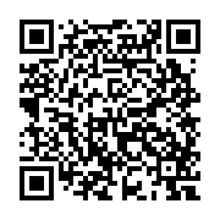 QR code for HCO387