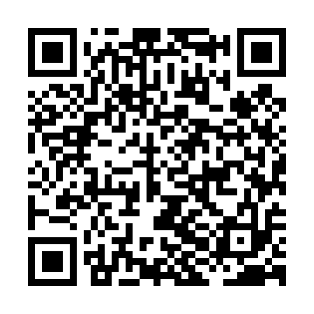 QR code for HHM413