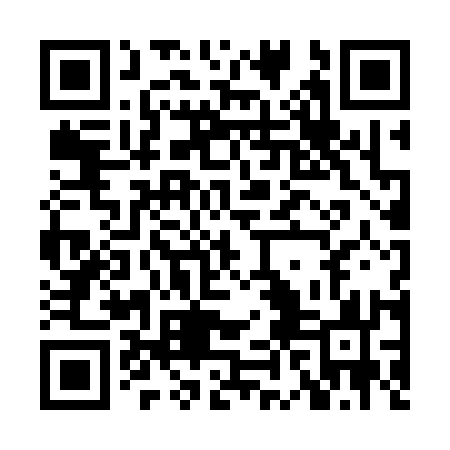QR code for HHN313