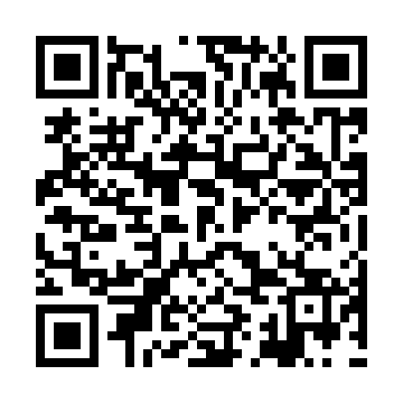 QR code for HIN963
