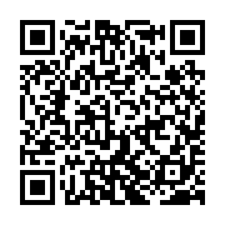 QR code for HJV290