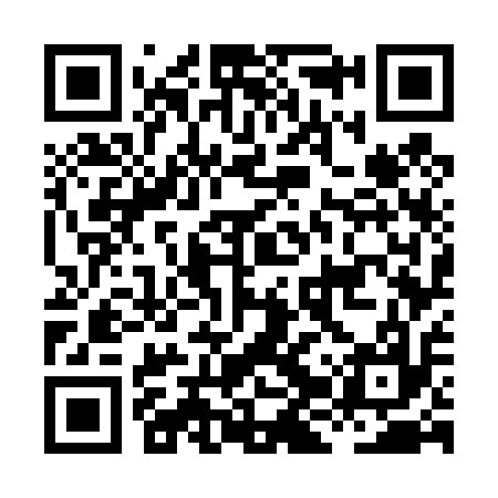 QR code for HJW417