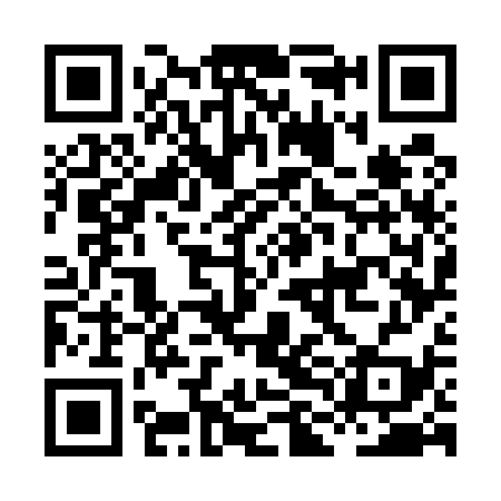 QR code for HLG539