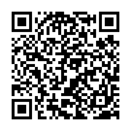 QR code for HNL697