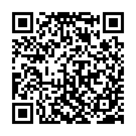 QR code for HNS387