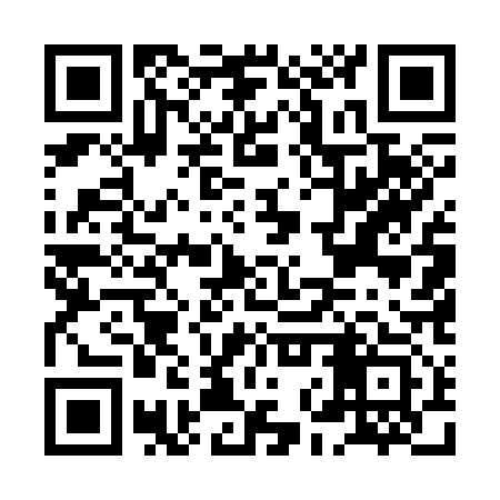 QR code for HNU313