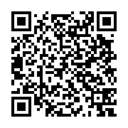 QR code for HPS038