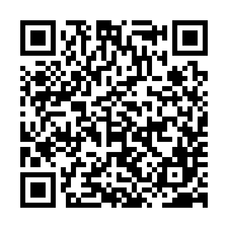 QR code for HSS386
