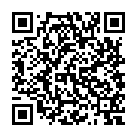 QR code for HWF911