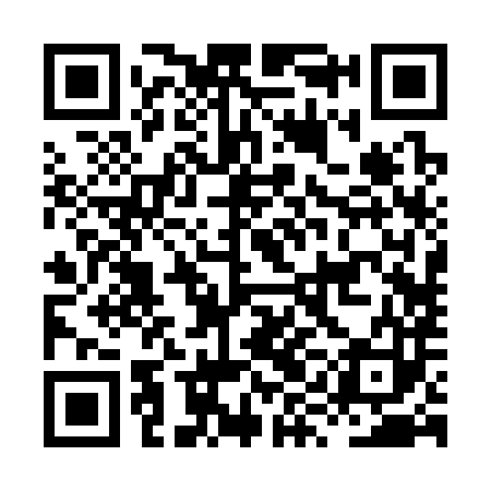 QR code for HYB383