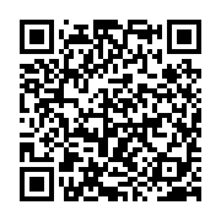 QR code for HYY299
