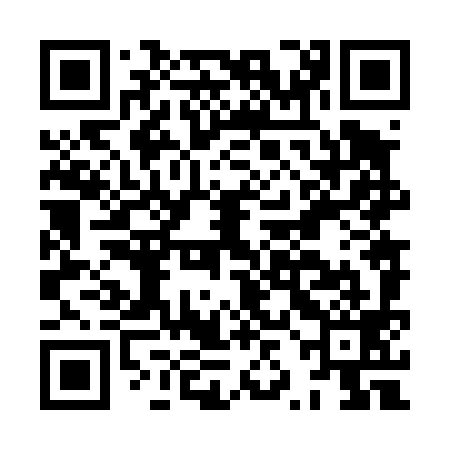 QR code for HZN499