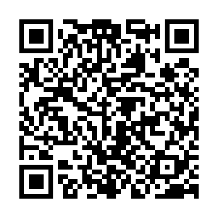QR code for IAE529