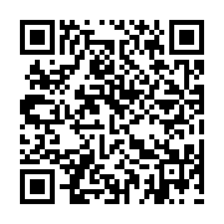 QR code for IAP311