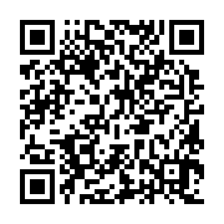 QR code for IBU384