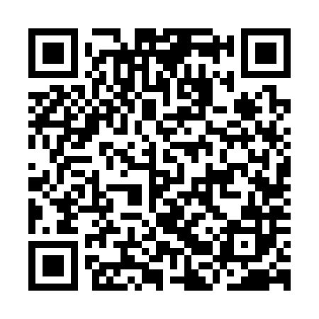 QR code for IBV382