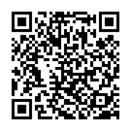 QR code for ICO479