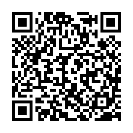 QR code for ICX095
