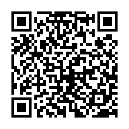 QR code for IDD595